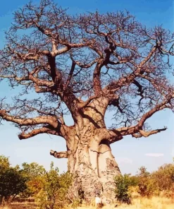 Kremetart Tree Diamond Painting