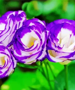 Lisianthus Flowers Diamond Painting