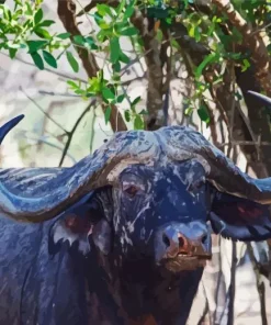 Longhorn Buffalo Diamond Painting