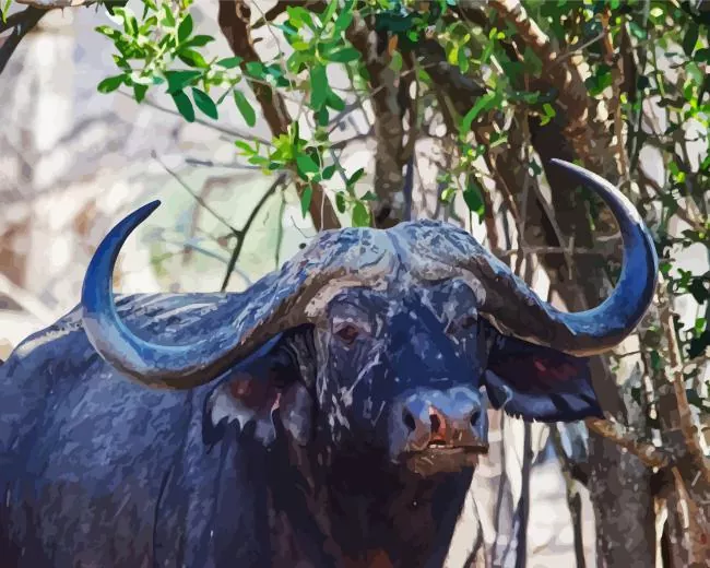 longhorn buffalo Diamond Paints Longhorn Buffalo Diamond Painting