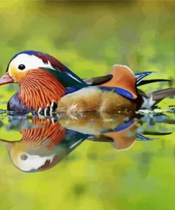 Mandarin Duck Diamond Painting