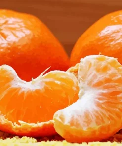 Mandarin Orange Diamond Painting