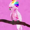 Pink Cockatoo Bird Diamond Painting