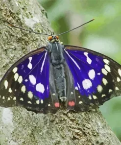 Purple Emperor Butterfly Diamond Painting