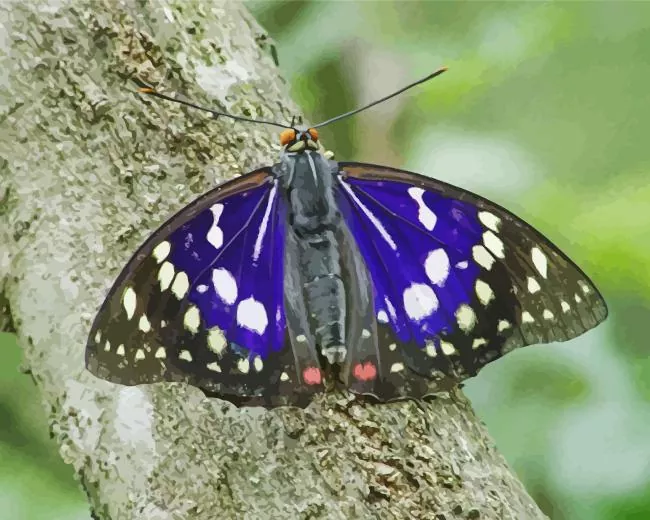 purple emperor butterfly Diamond Paints Purple Emperor Butterfly Diamond Painting
