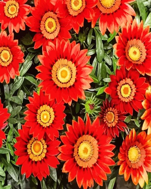 red gazania big kiss Diamond By Numbers Red Gazania Big Kiss Diamond Painting