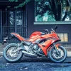 Red Kawasaki Motorcycle Diamond Painting